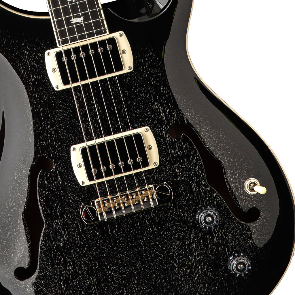 PRS SE Hollowbody Standard - Dog Hair Smokeburst