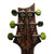 PRS Private Stock Custom 24/08 Electric Rainforest - Curly Maple Top/ Brazillian Rosewood Fretboard/ Swamp Ash Back