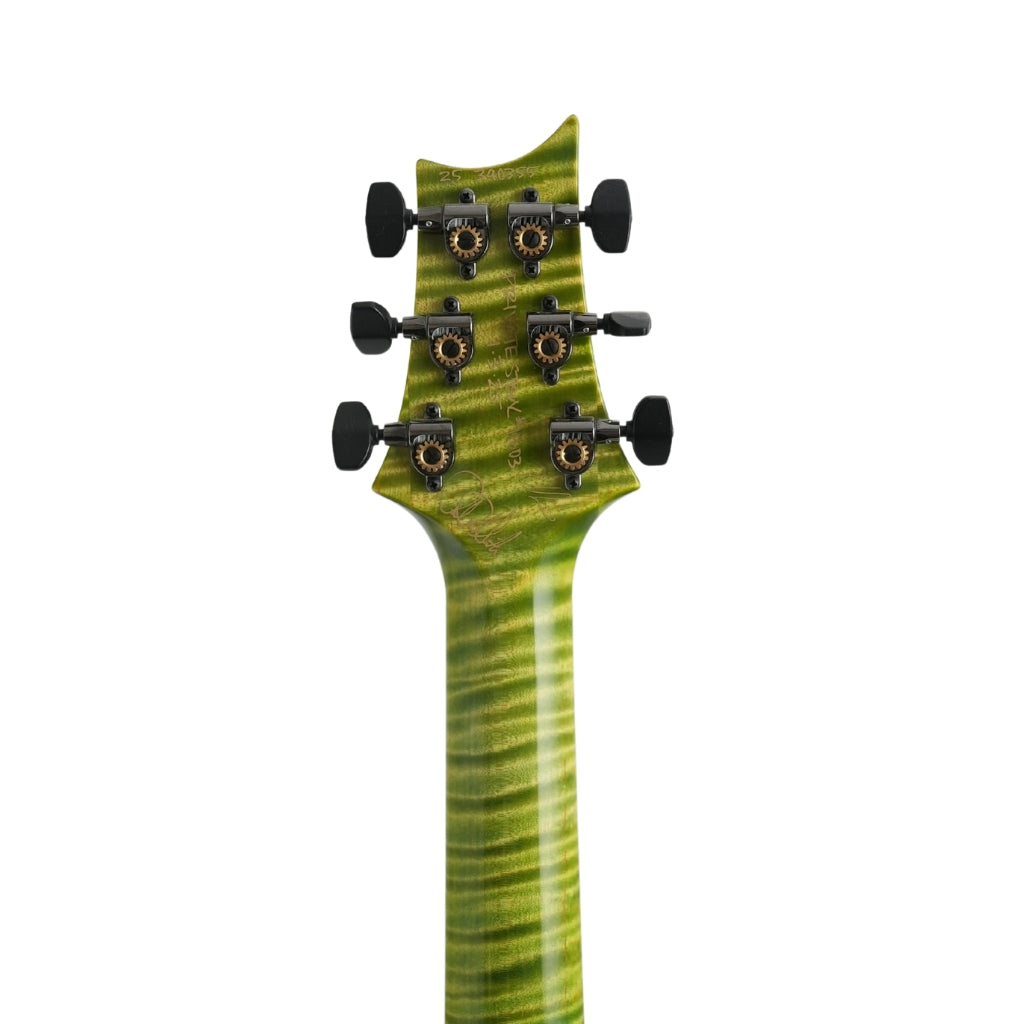 PRS - Private Stock #11603 24-08 Semi-Hollow Electric Guitar - Rainforest Glow
