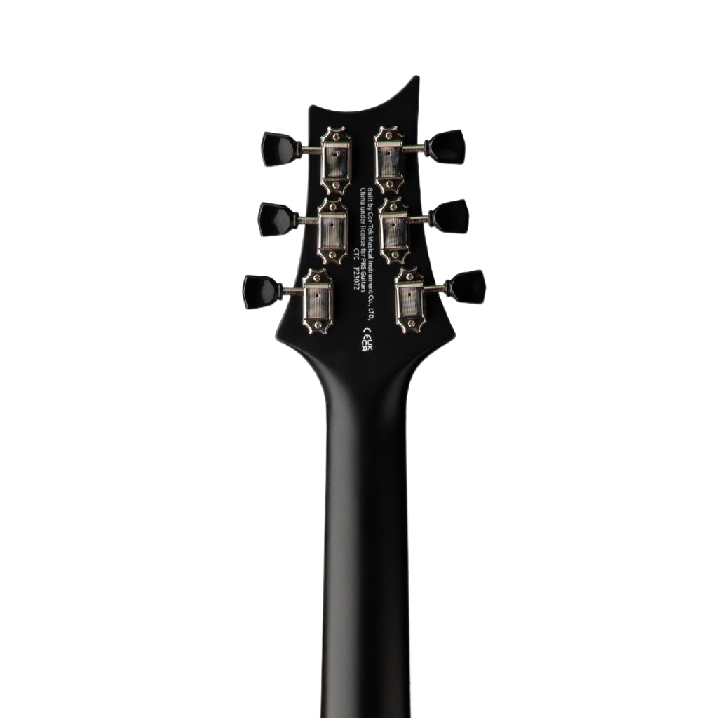 PRS - SE P20E Acoustic Guitar - Dog Hair (Gloss Top, Satin Back)