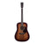 Martin 16 Series Dreadnought Ovangkol with Pickup