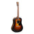 Martin DX2E X2 Dreadnought Ziricote