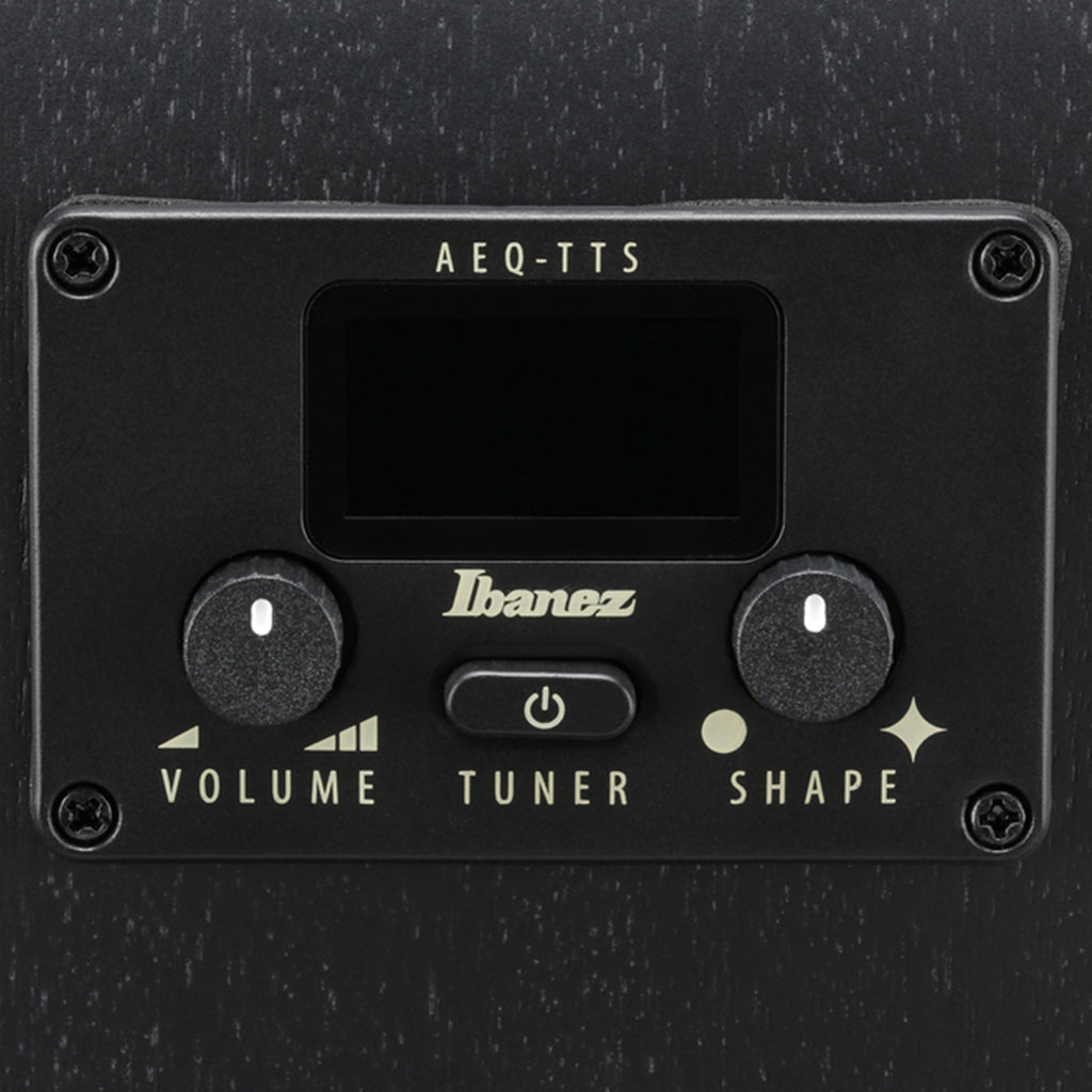 Ibanez AEG1221 12-String Acoustic Guitar w/Pickup - Black Out