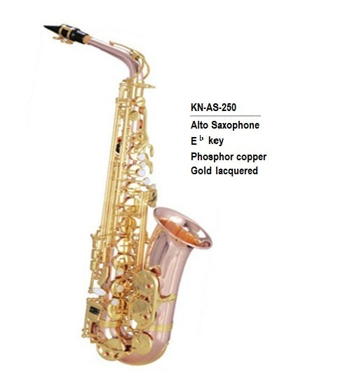 Knight Alto Saxophone AS-250 with Case