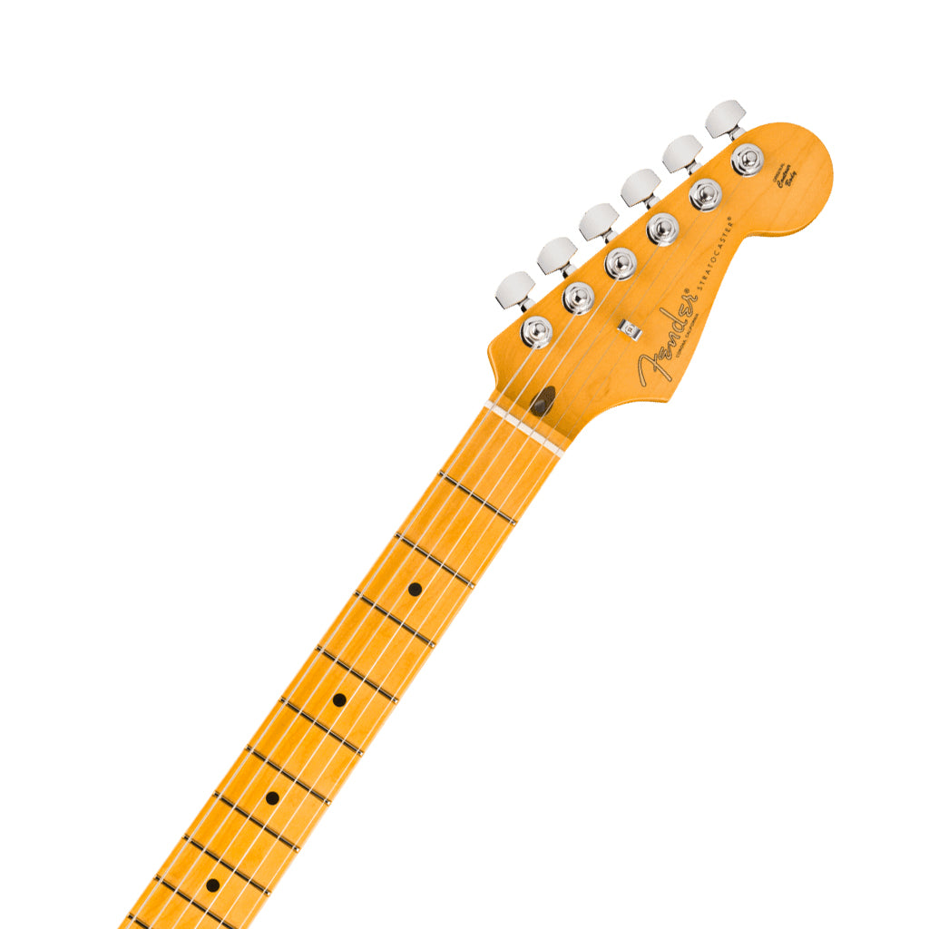 Fender American Professional Stratocaster Maple Electric Guitar - Dark Night