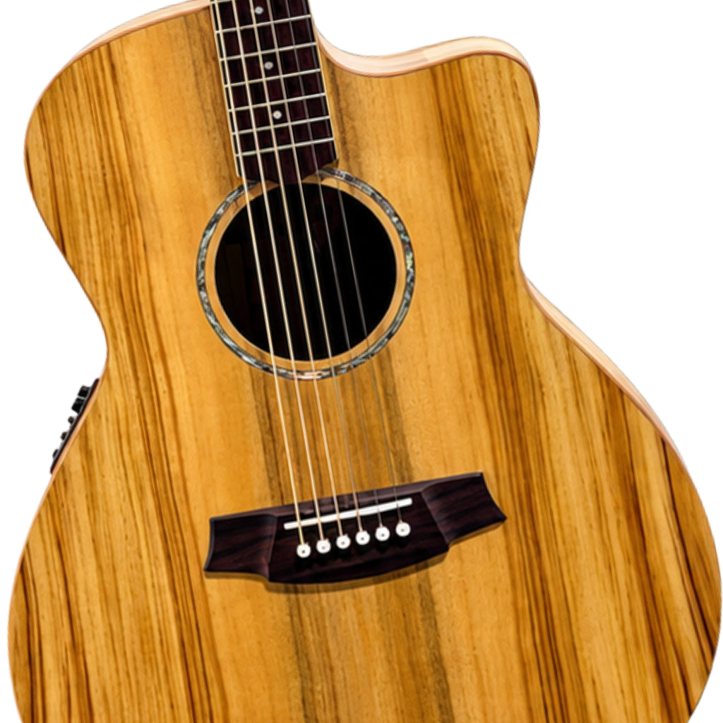 Cole Clark - SAN1EC-CLCL Studio Grand Auditorium Acoustic-Electric Guitar - All Camphor Laurel