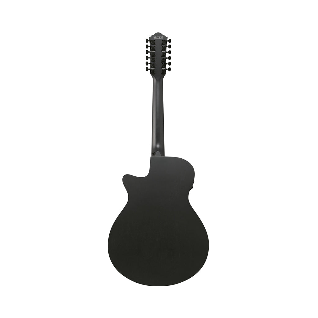 Ibanez AEG1221 12-String Acoustic Guitar w/Pickup - Black Out