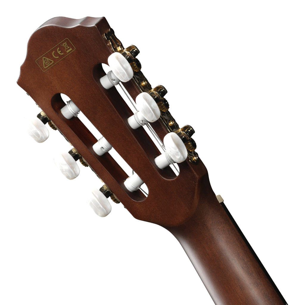 Ibanez AEG50N BKH Acoustic Guitar