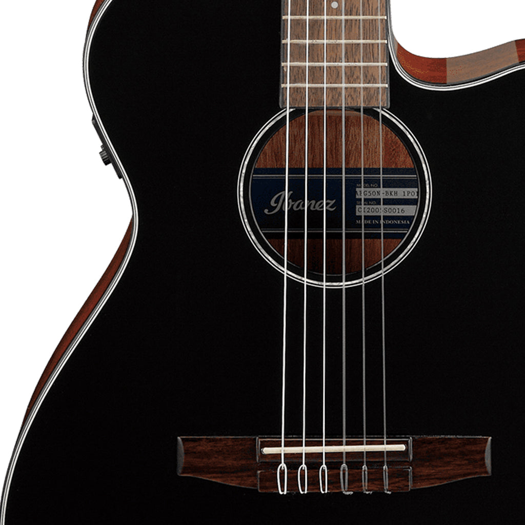 Ibanez AEG50N BKH Acoustic Guitar