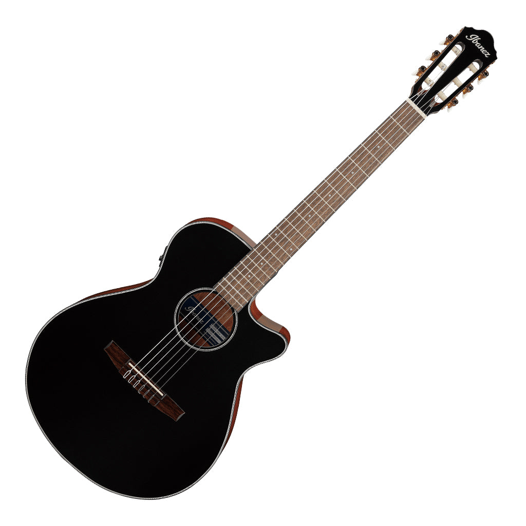 Ibanez AEG50N BKH Acoustic Guitar