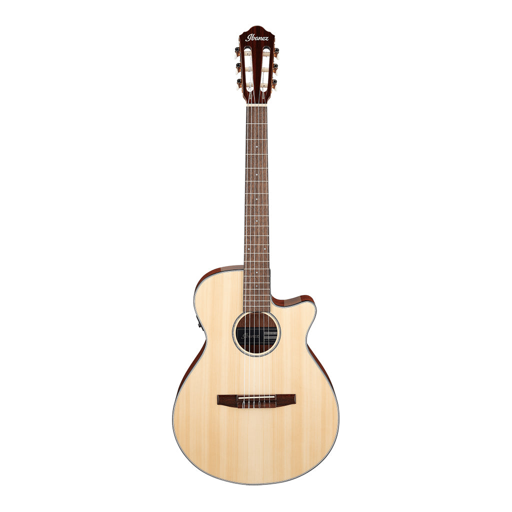 Ibanez AEG50N NT Acoustic Guitar