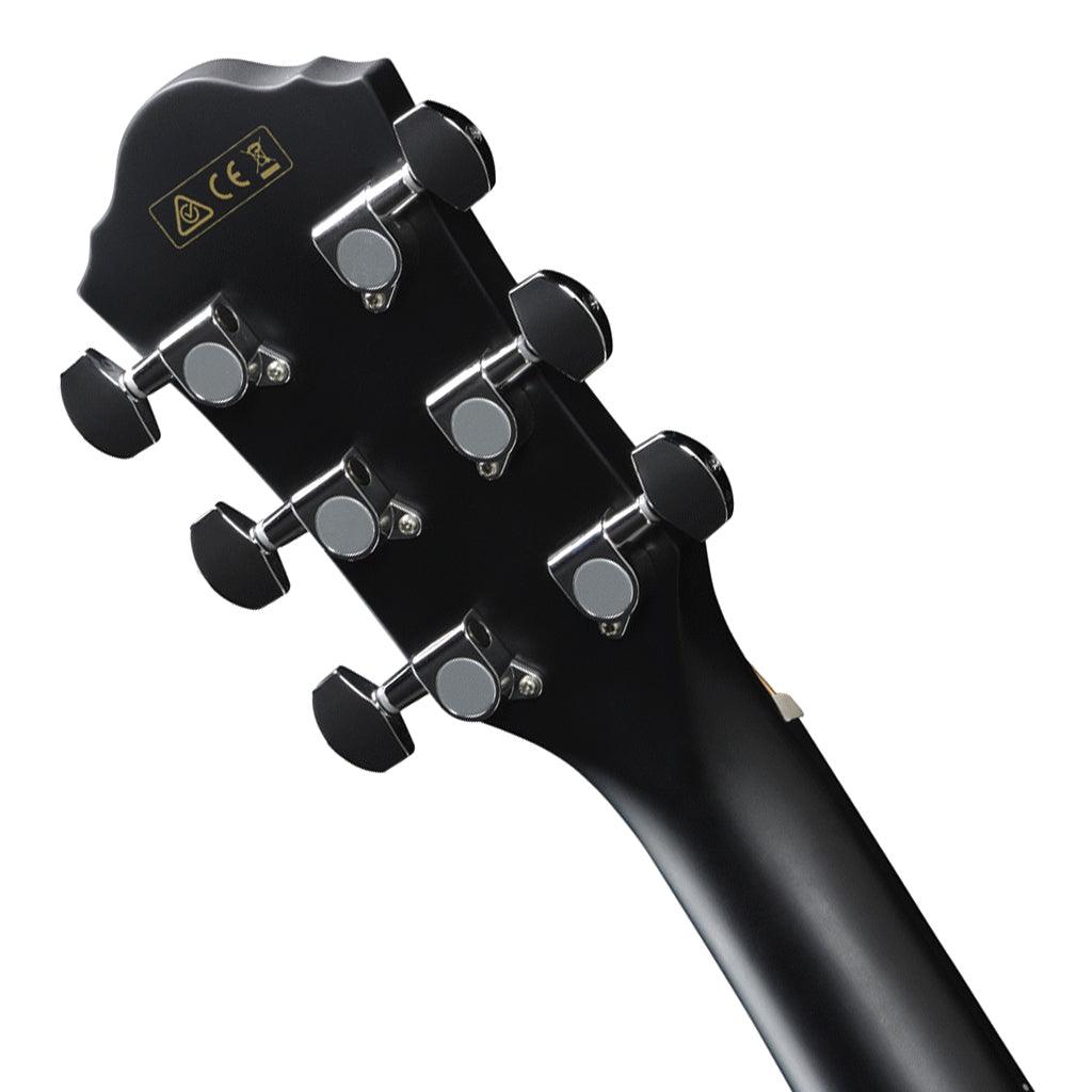 Ibanez AEG50 BK Acoustic Guitar
