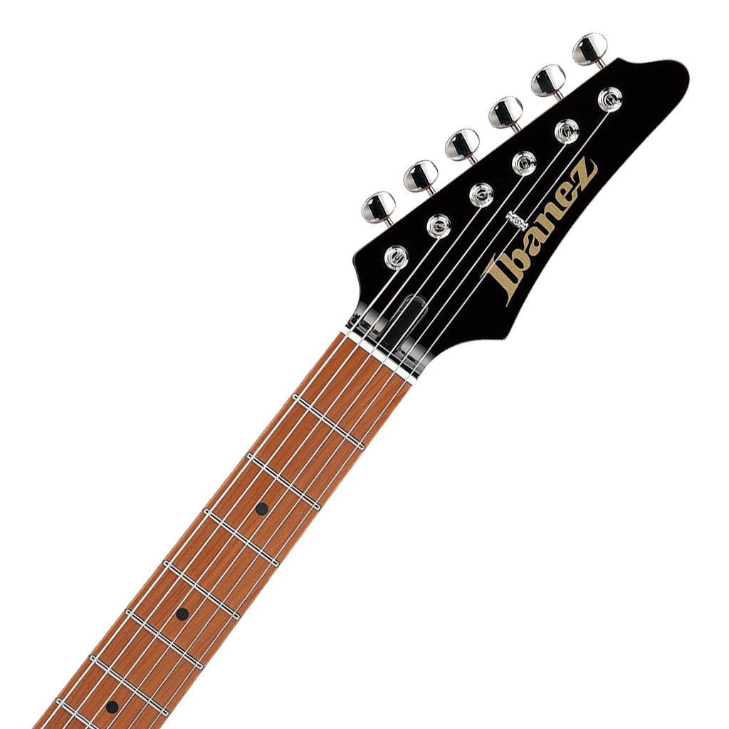 Ibanez FLATV1 Josh Smith Black