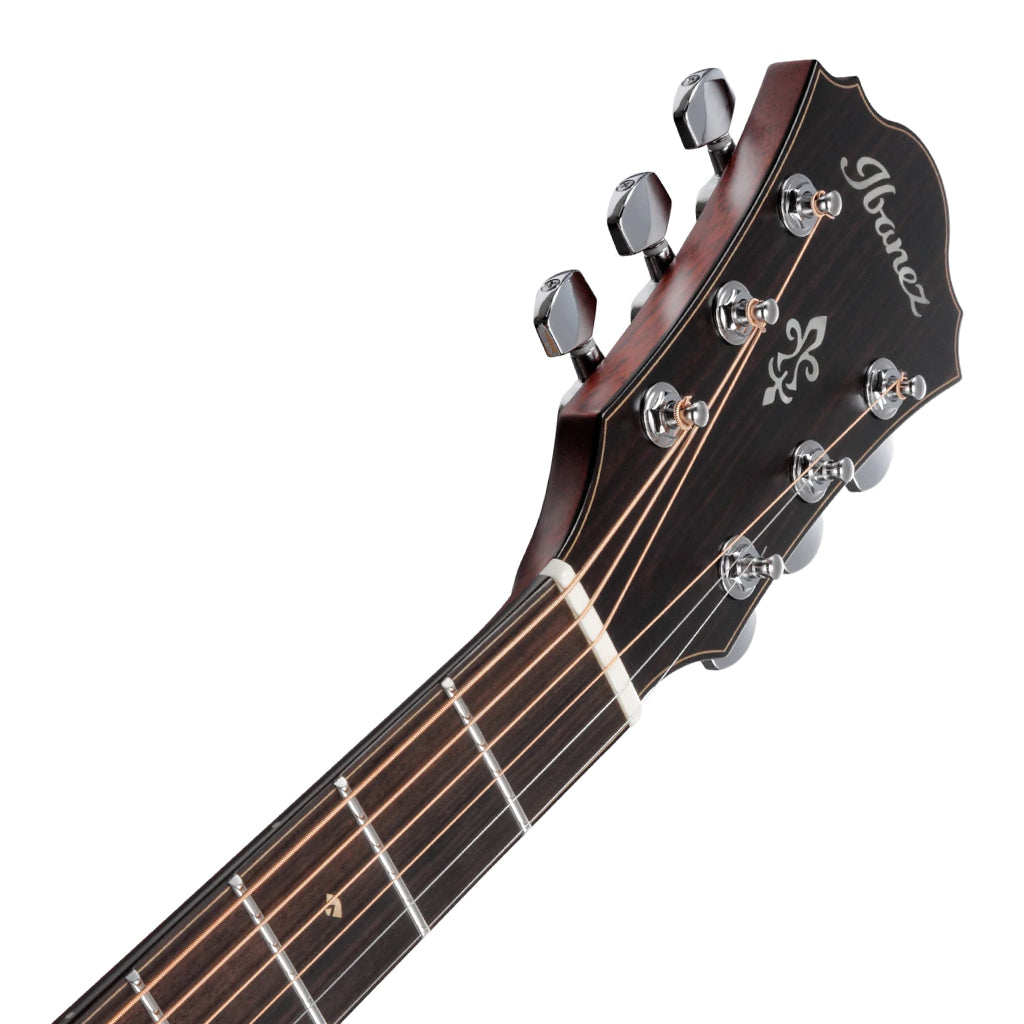 The Ibanez AE410 LGS  Acoustic Guitar