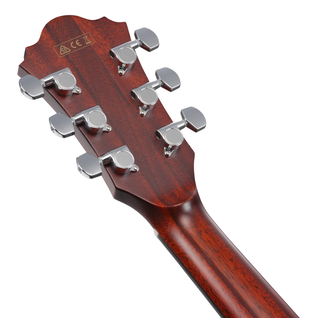 The Ibanez AE410 LGS  Acoustic Guitar