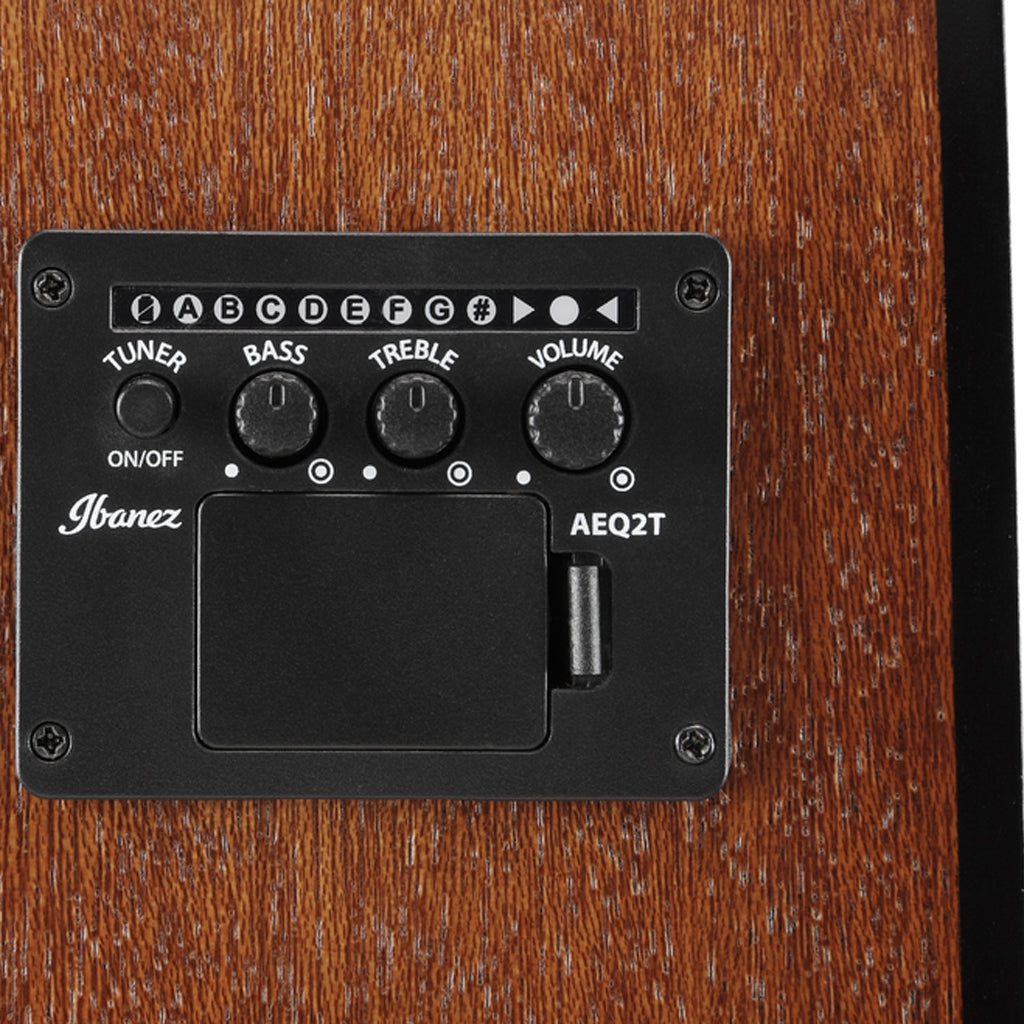 Ibanez V40LCE OPN Acoustic Guitar W/PU