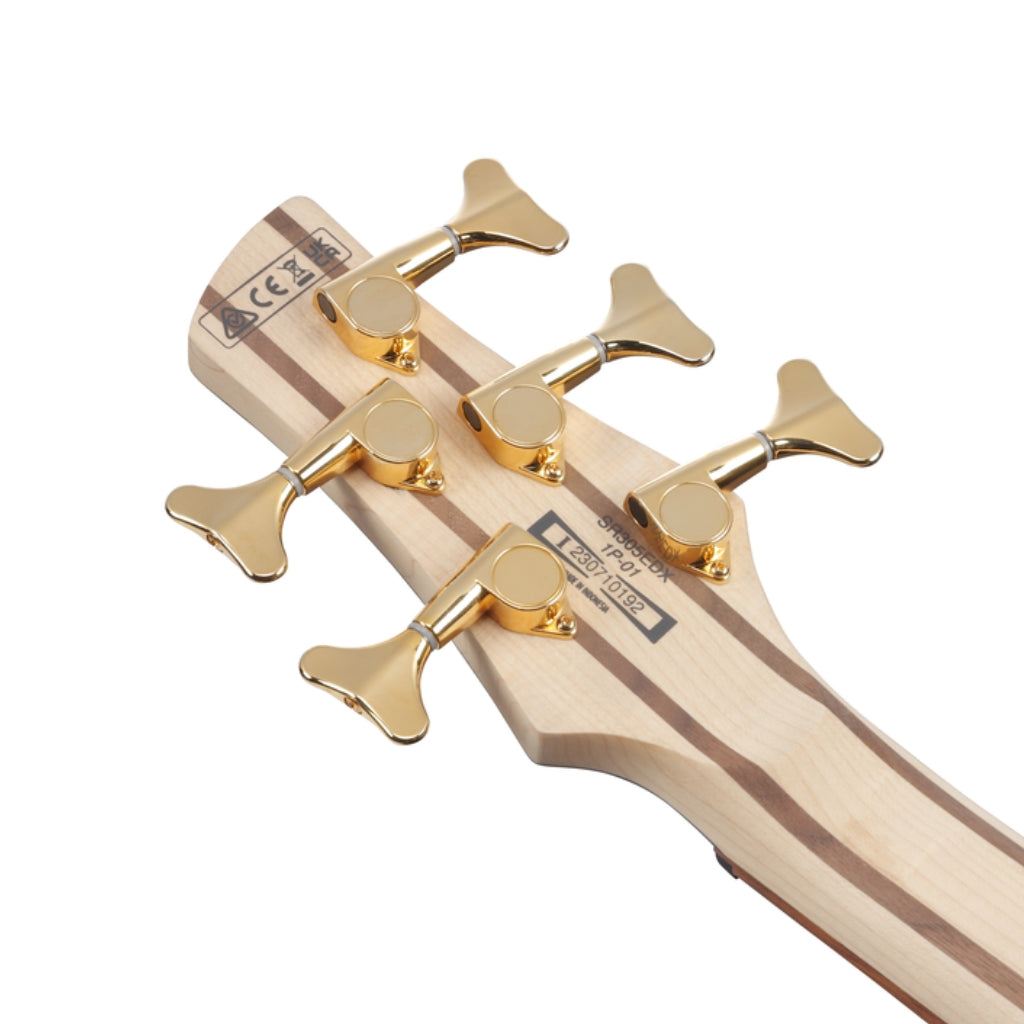 Ibanez - SR305EDXBZM - 5 String Electric Bass Guitar Black Ice Frozen Matte