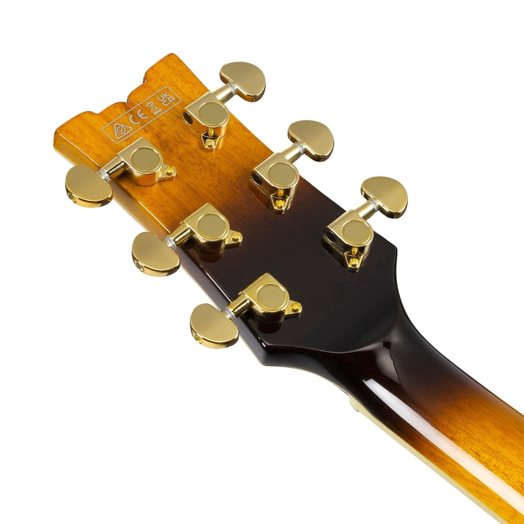 Ibanez JSM10EM John Scofield Signature Electric Guitar - Two Tone Burst