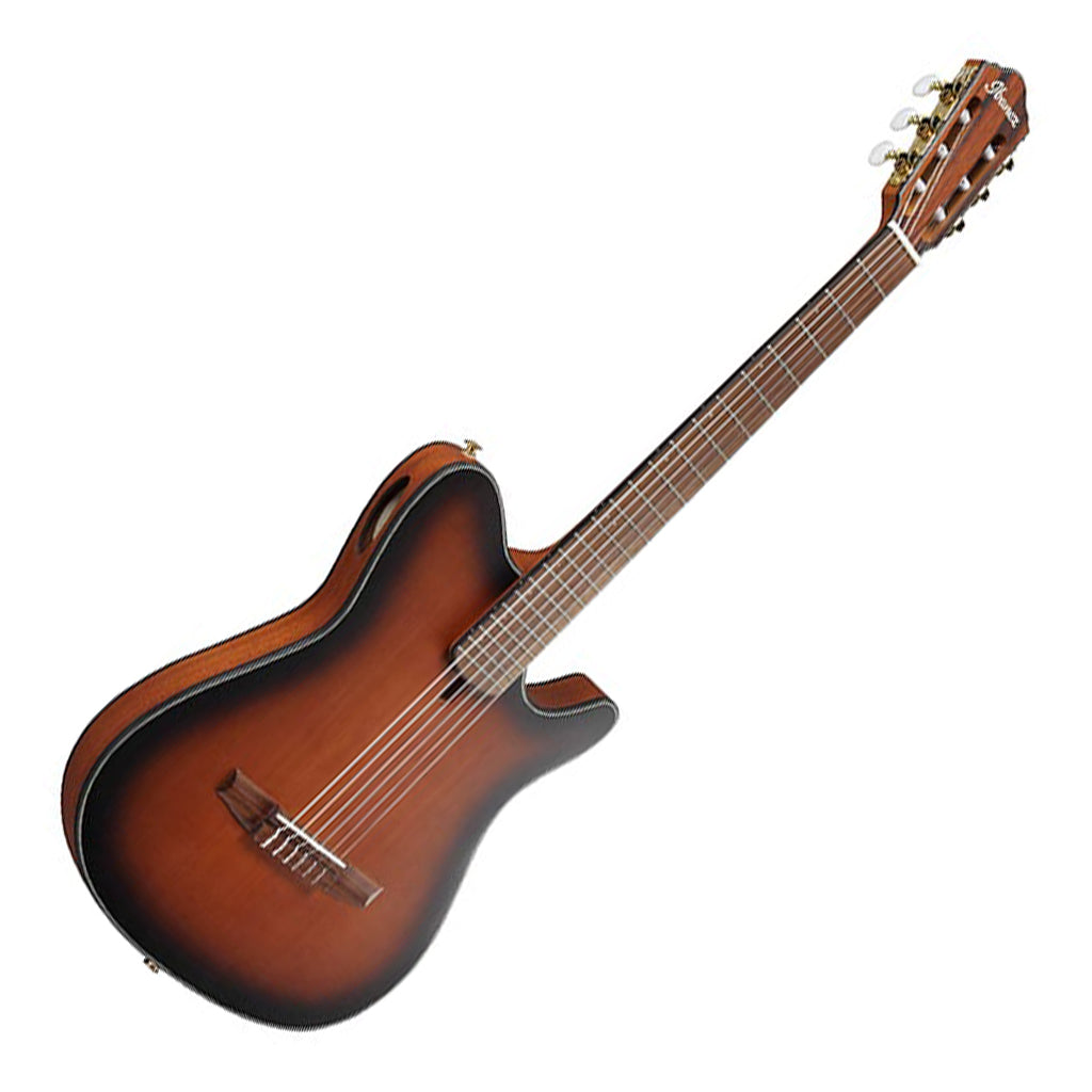 Ibanez FRH10N Brown Sunburst Flat Nylon String Guitar