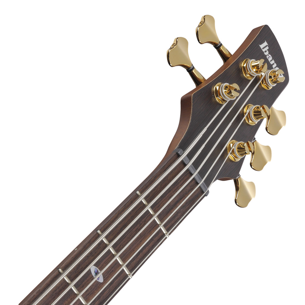 Ibanez SR6605 5 String Bass Mappa Burl Top with Rosewood Fretboard and Case Ghost Fleet Blue Burst