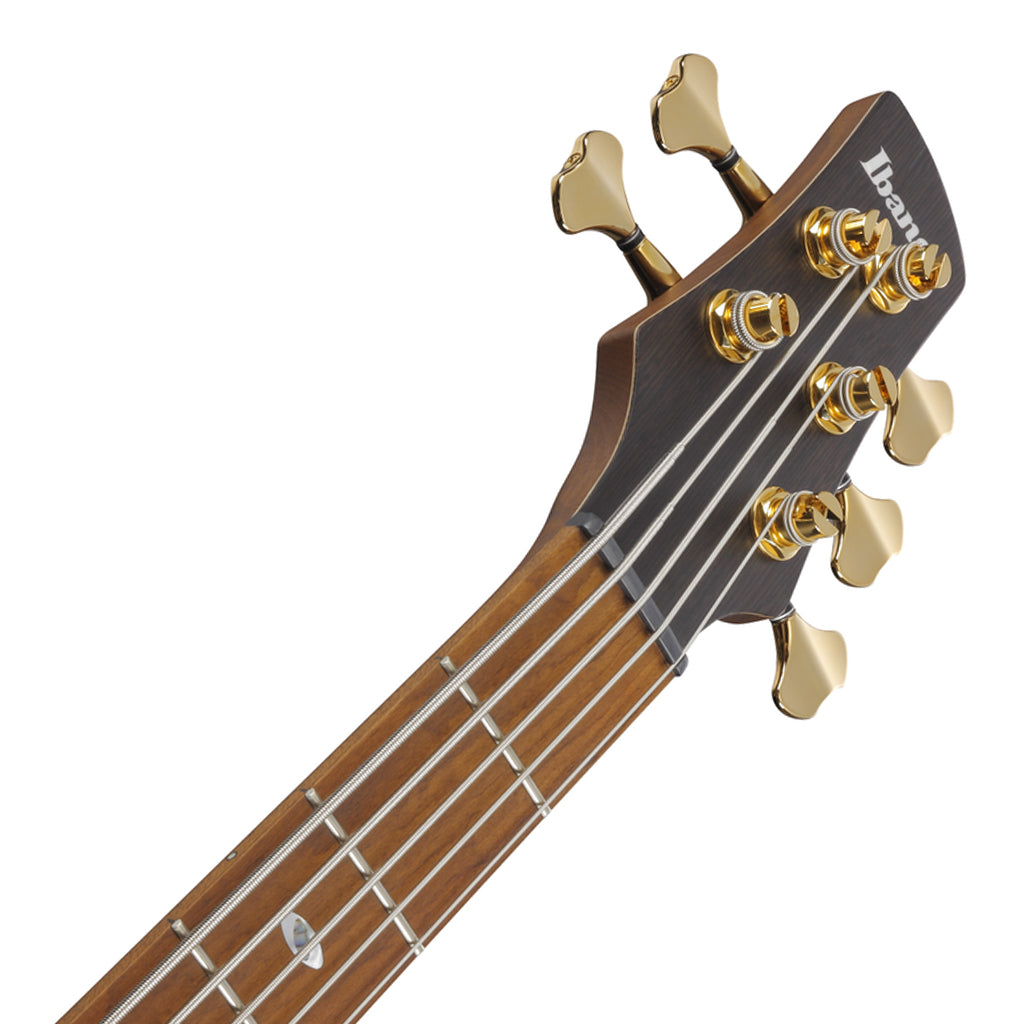 Ibanez SR4505 5 String Bass Ash Body with Roasted Maple Fretboard and Case Desert Sunset Burst