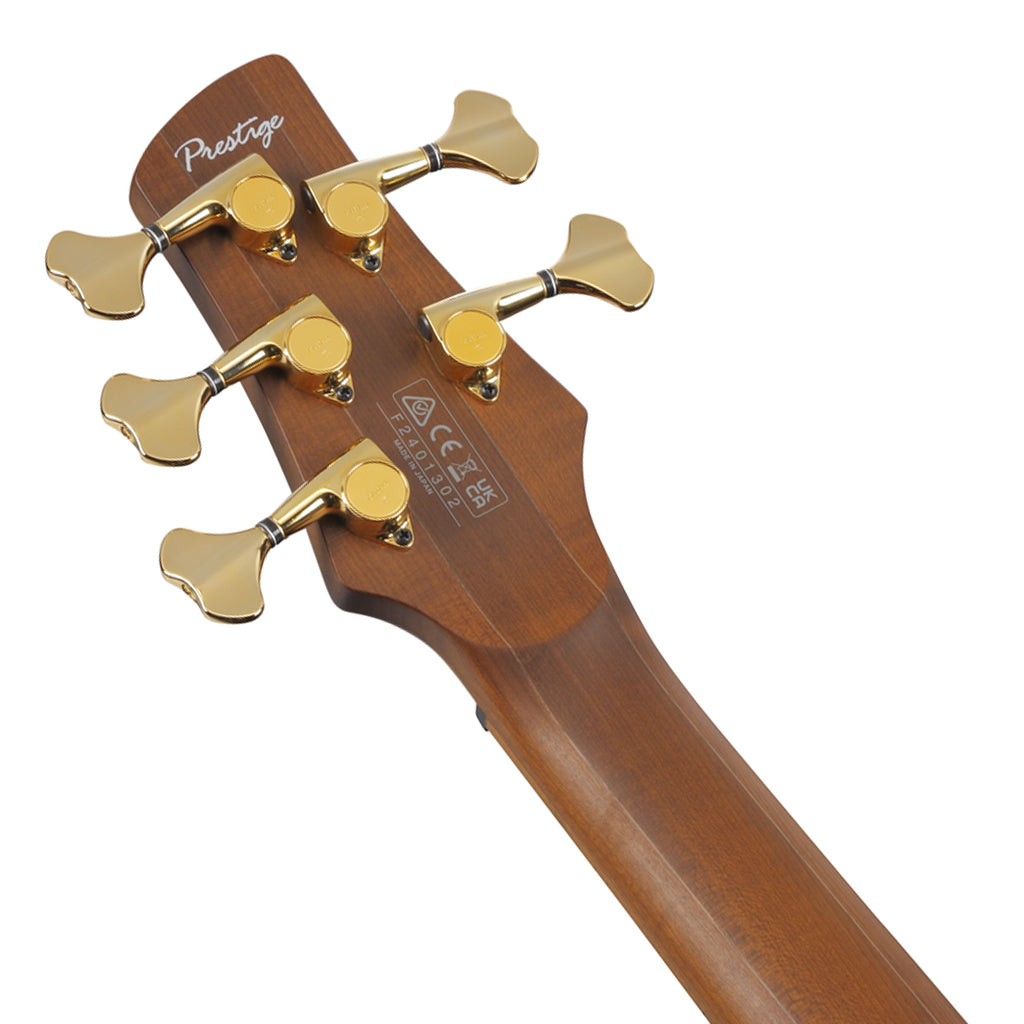 Ibanez SR4505 5 String Bass Ash Body with Roasted Maple Fretboard and Case Desert Sunset Burst