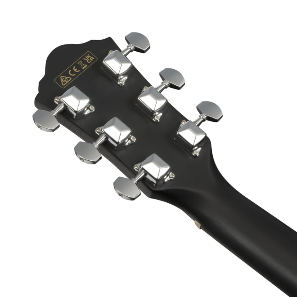Ibanez - V44CE Acoustic Guitar - Weathered Black Open Pore