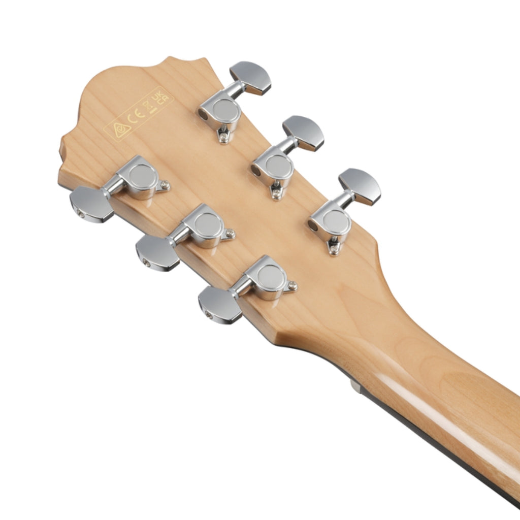 Ibanez AE170N Natural High Gloss Top Transparent Red High Gloss Back and Sides Acoustic Guitar