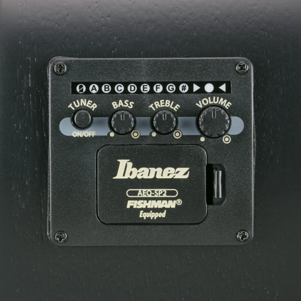 Ibanez - AEWC621 Acoustic Guitar - Black Out