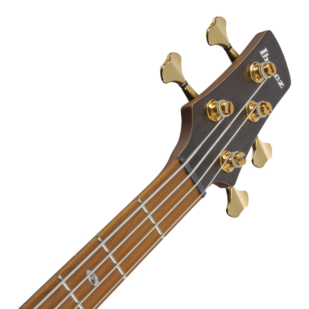 Ibanez SR4500 Prestige Bass Ash Body and Case Desert Sunset Burst