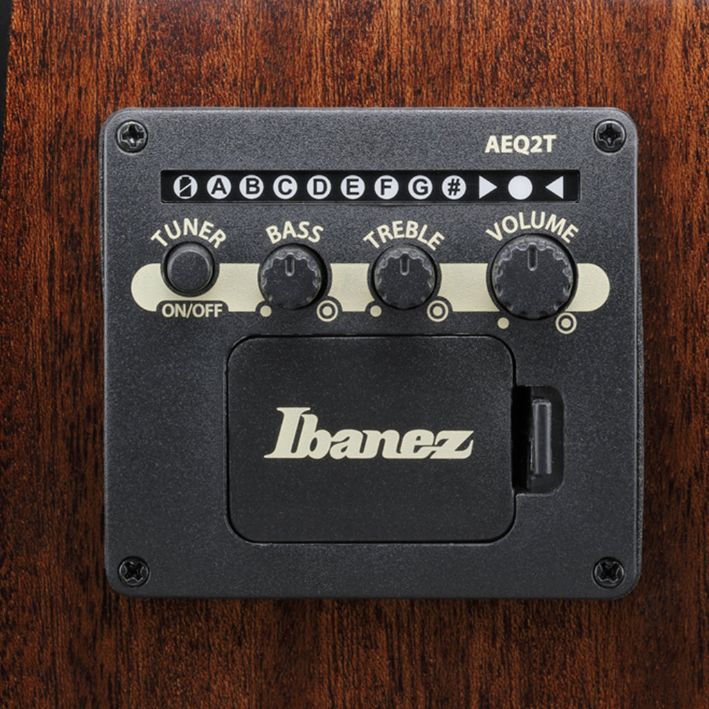 Ibanez AEWC16QA Acoustic Guitar w/Pickup - Transparent Blue Sunburst High Gloss