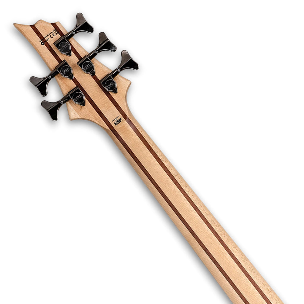 ESP LTD B-205 Spalted Maple 5-String Bass - Natural Satin
