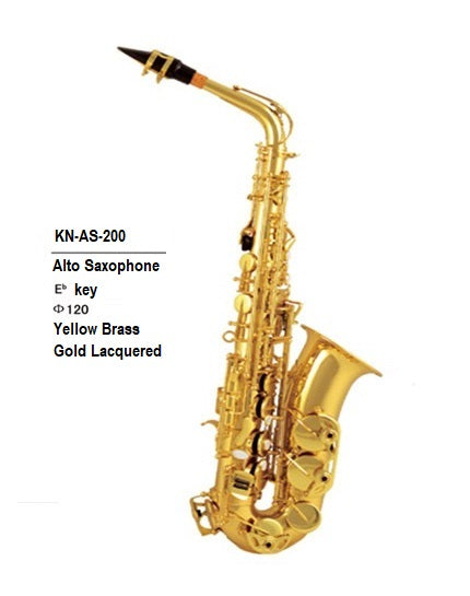 Knight Alto Saxophone AS-200 with Case