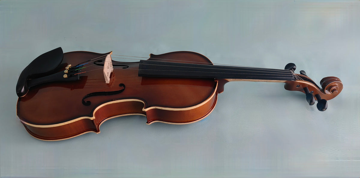 Nameless Handmade Solid Wood Violin SVLN4-4/4, with Bow and Case