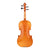 Beale BV134 Violin Standard 3/4 Size Outfit