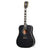 Gibson - Hummingbird Custom Ebony - Acoustic Guitar