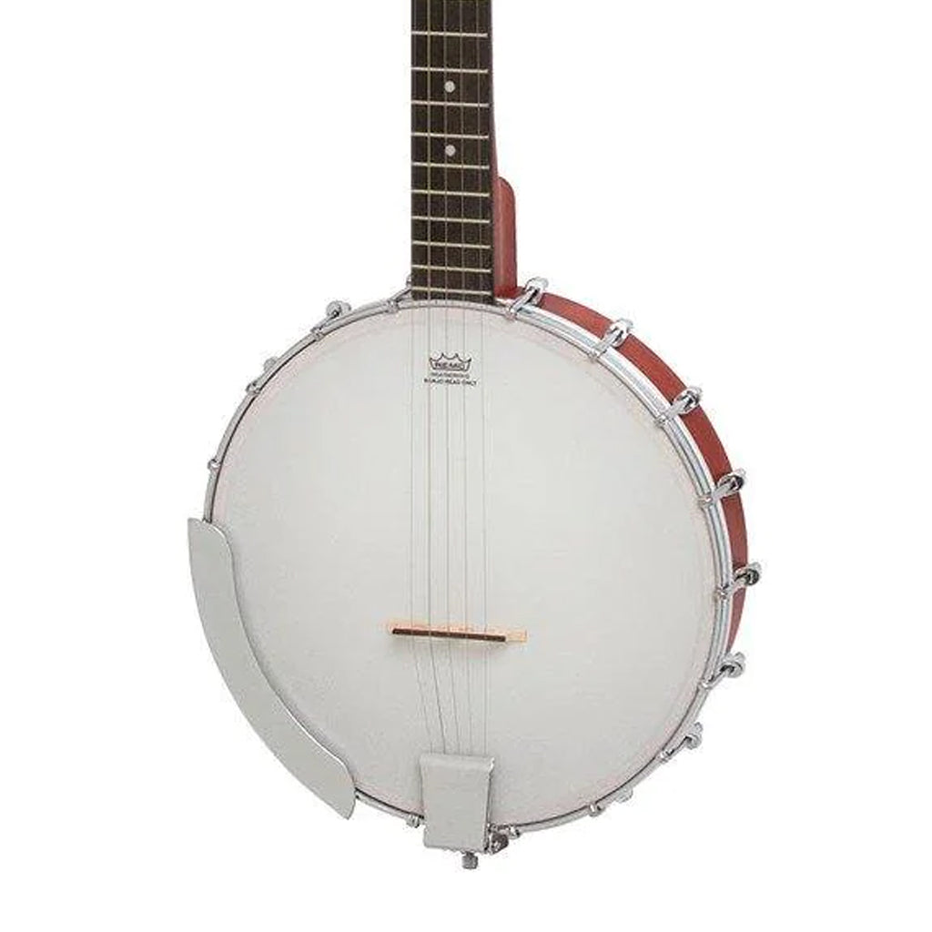Epiphone - MB100 Banjo - Vintage Sunburst