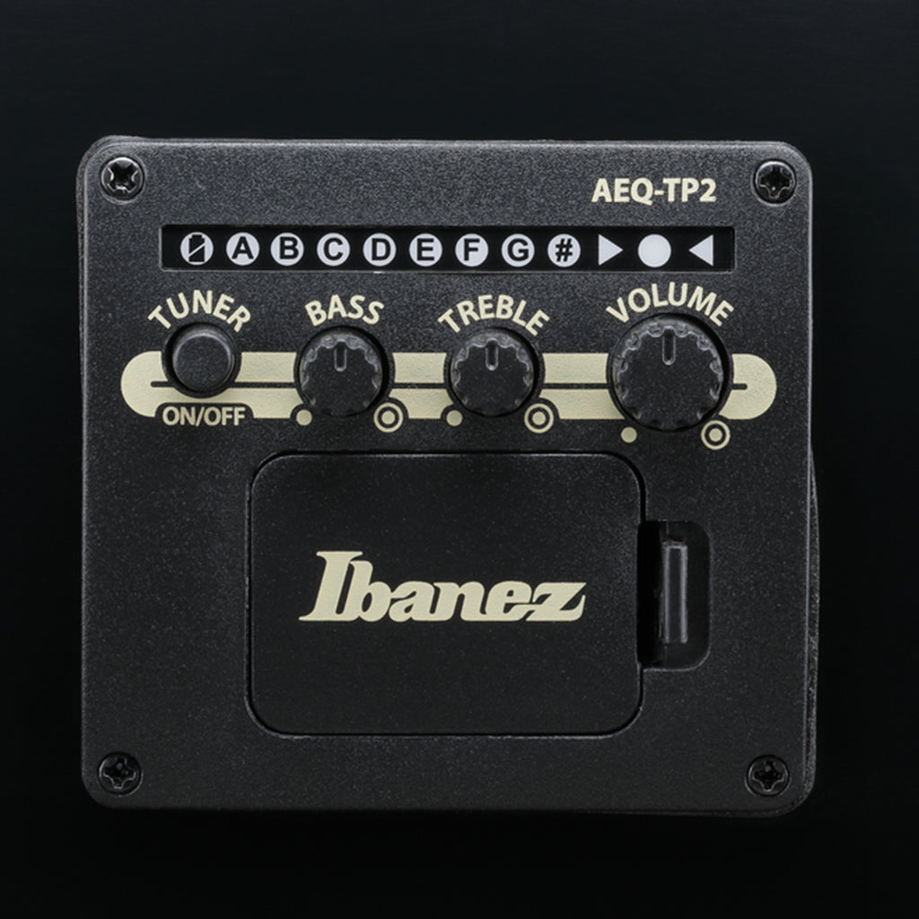 Ibanez AJ7012M1E 12-String Acoustic Guitar w/Pickup - Black High Gloss