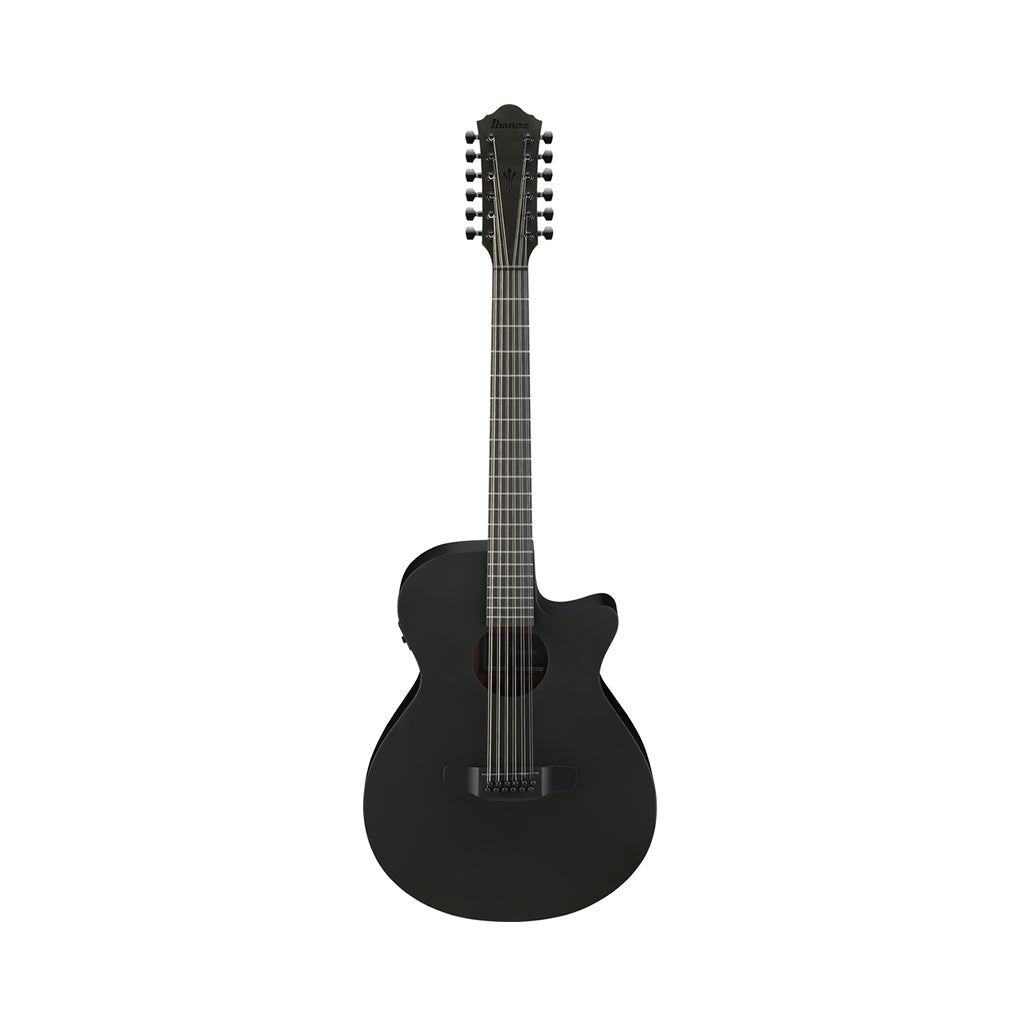 Ibanez AEG1221 12-String Acoustic Guitar w/Pickup - Black Out