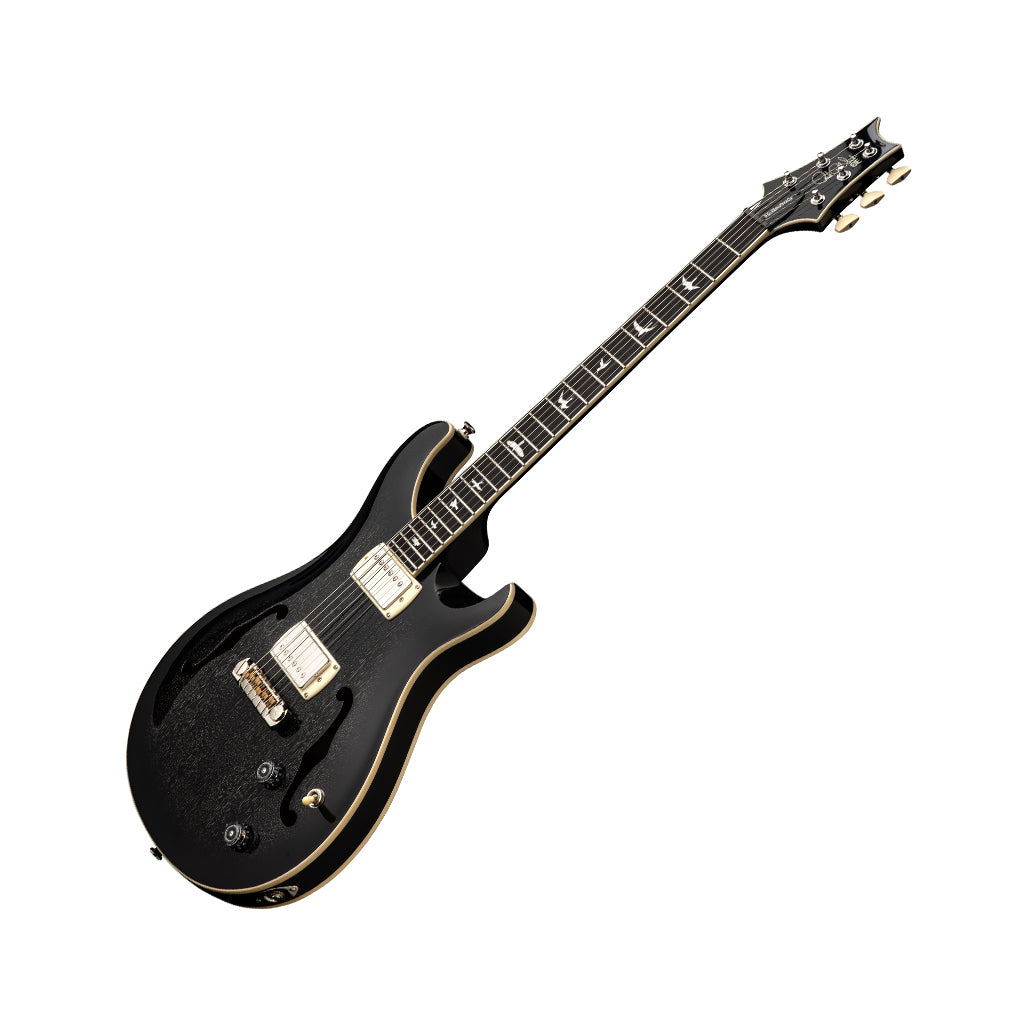 PRS SE Hollowbody Standard - Dog Hair Smokeburst