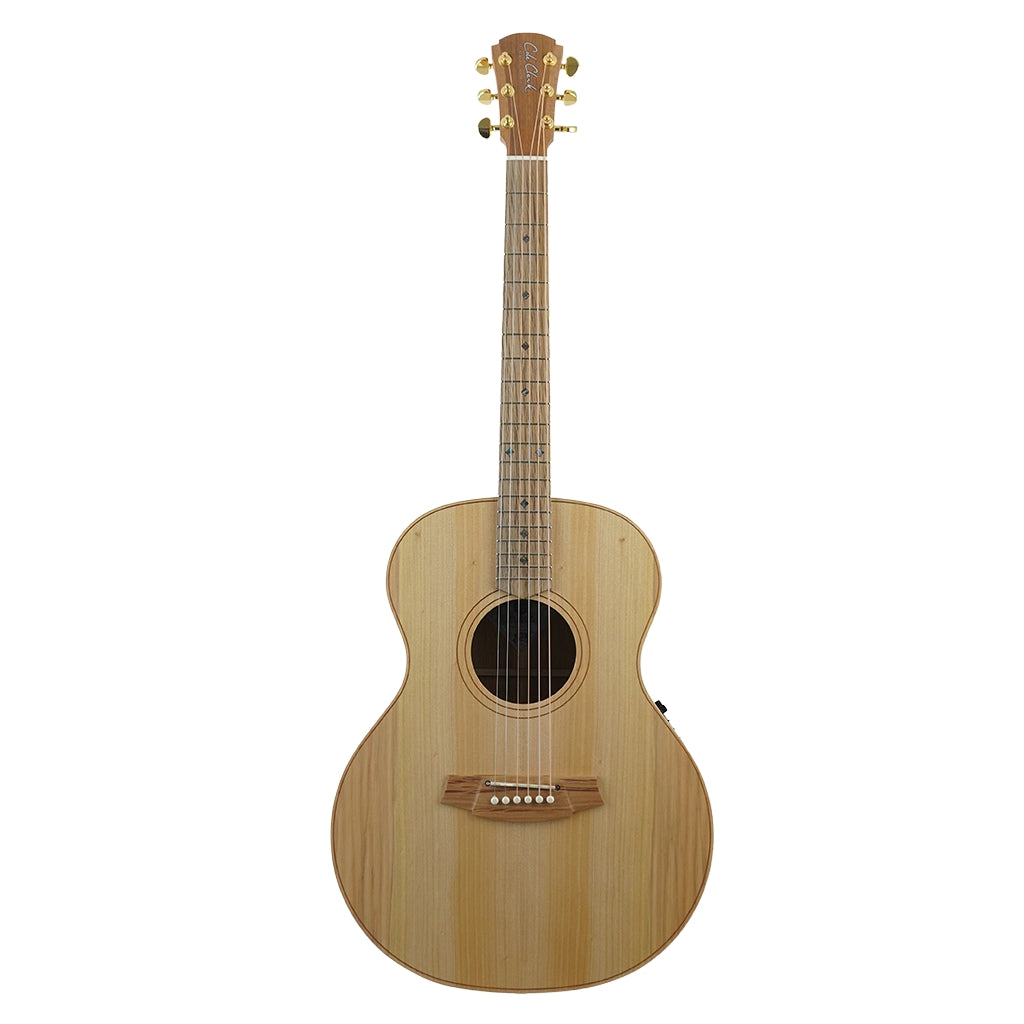 Cole Clark AN2E LH Bunya Top Maple B&S