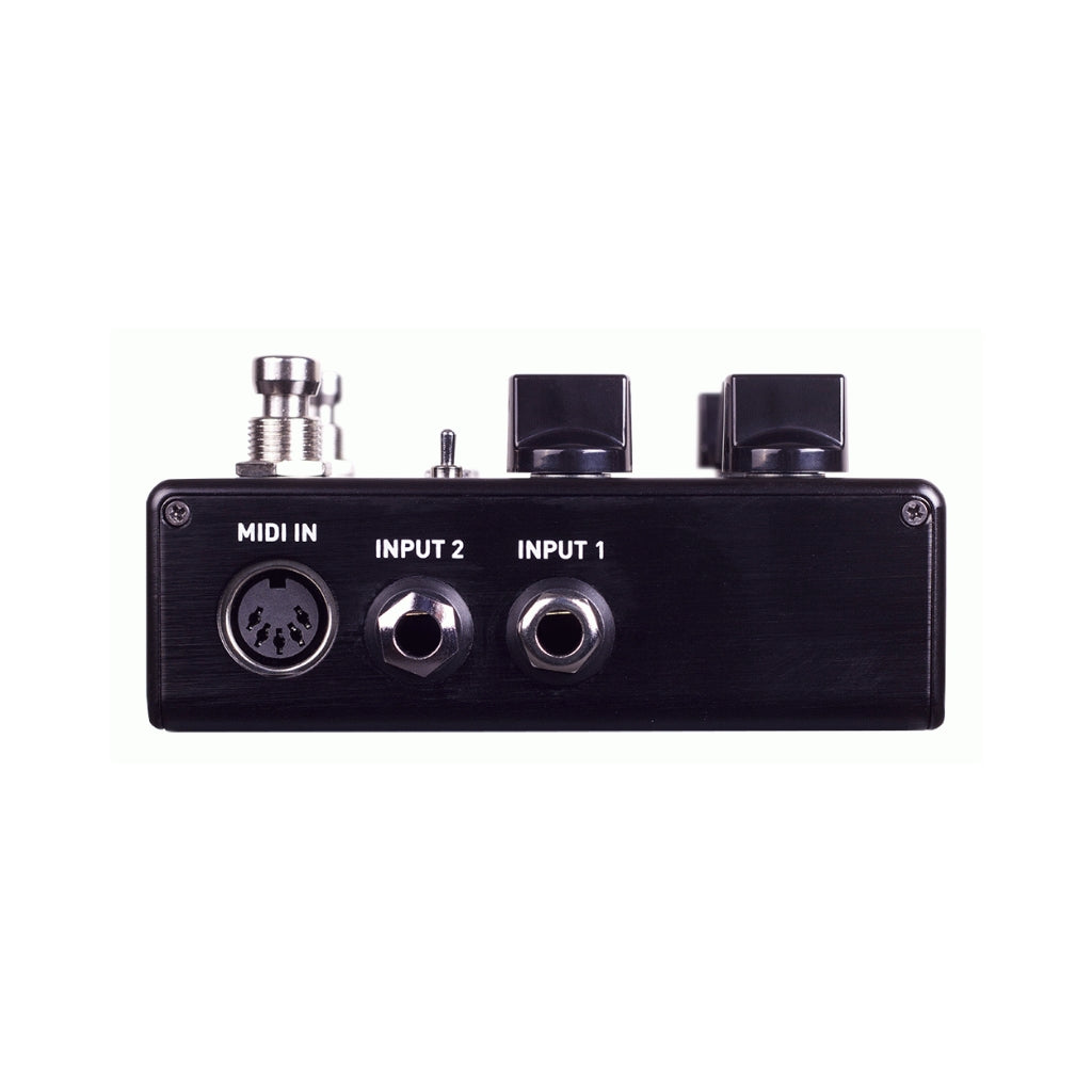 Source Audio - Encounter Ambient Delay/Reverb - Pedal