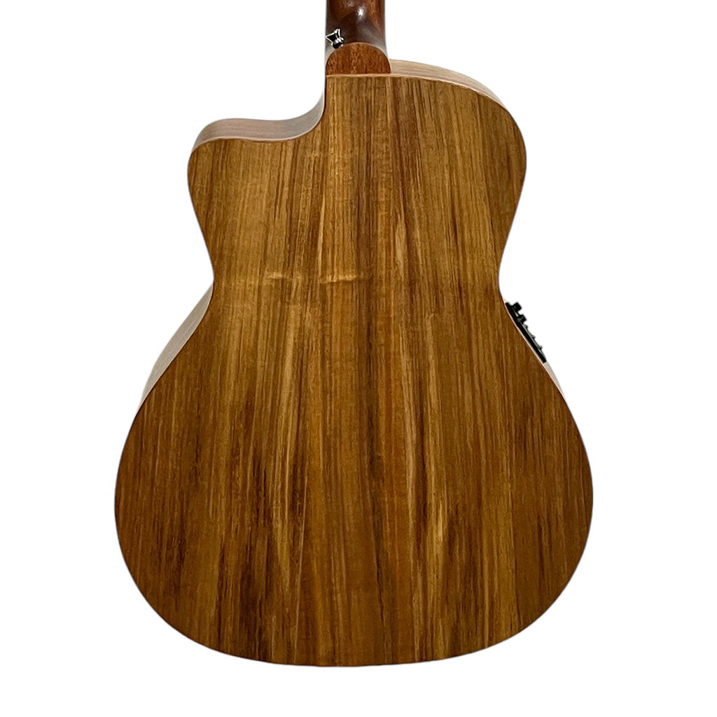 Cole Clark SAN1ECBLBL Studio Grand Auditorium All Blackwood