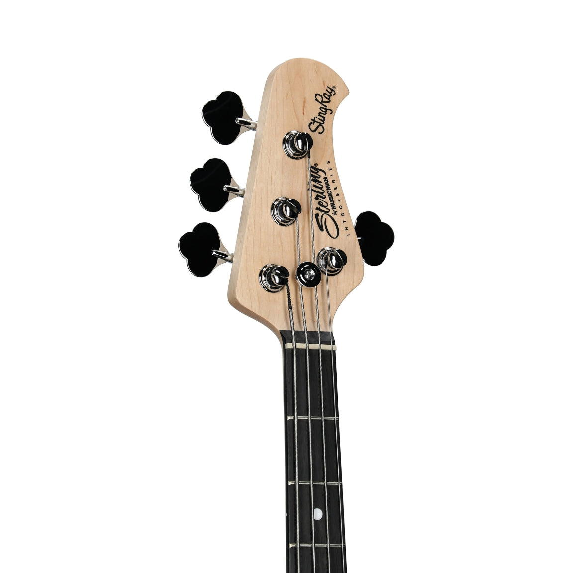 Sterling By Music Man - Intro Series Stingray Bass Guitar - Misty Green
