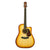 Maton - SRS70C Acoustic Guitar - Halo Burst