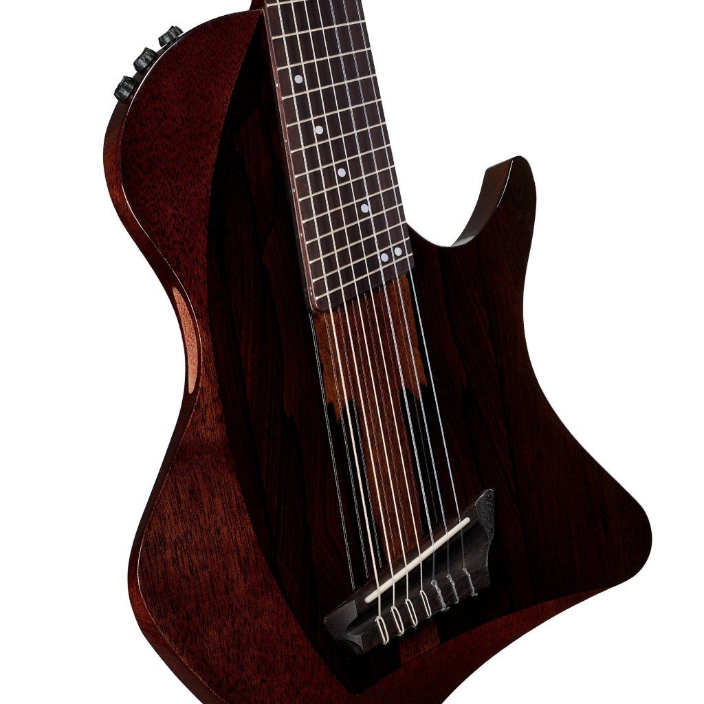 Abasi Stage 7 Nylon-String Acoustic-Electric Guitar - Ziricote Acoustic Guitars Sky Music