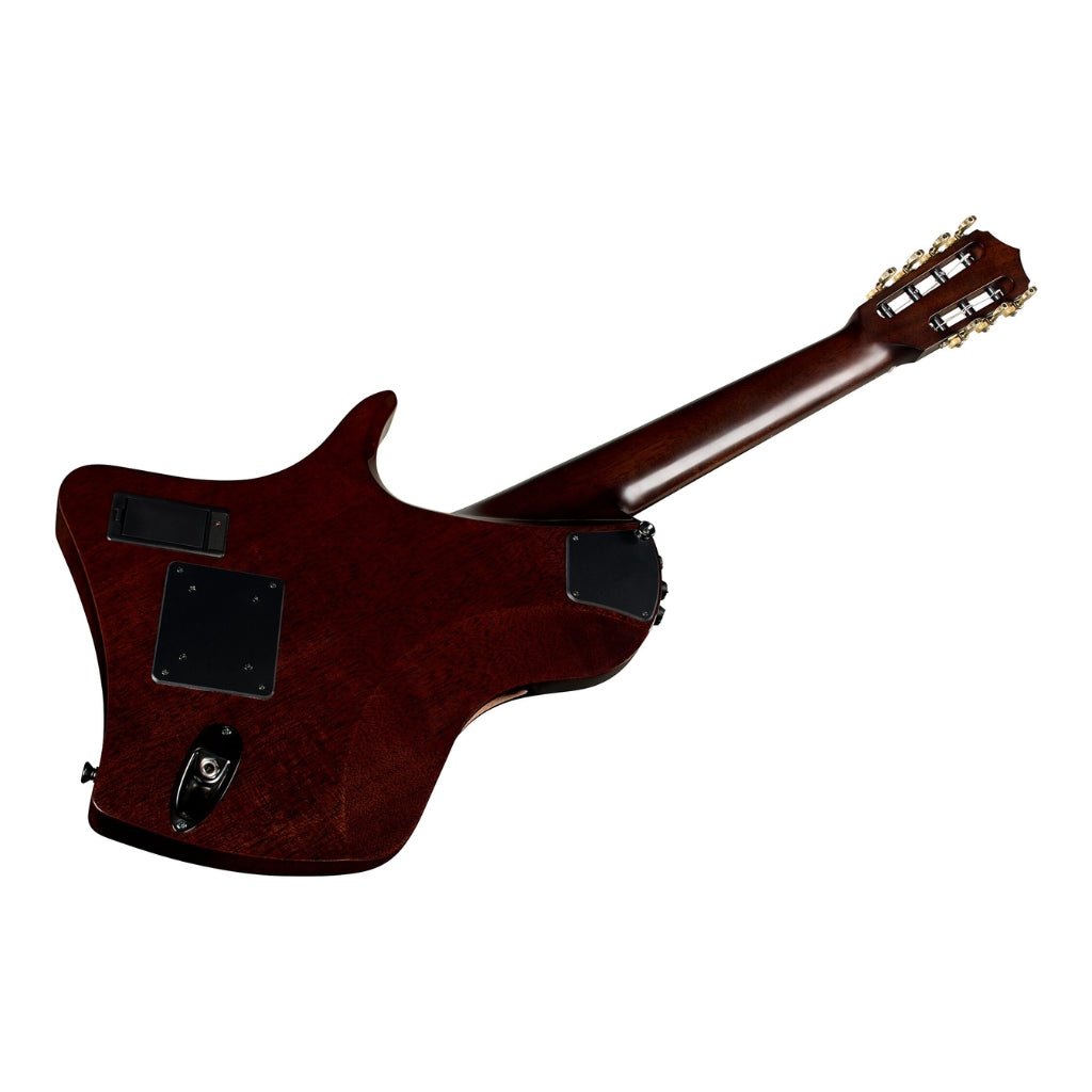 Abasi Stage 7 Nylon-String Acoustic-Electric Guitar - Ziricote Acoustic Guitars Sky Music