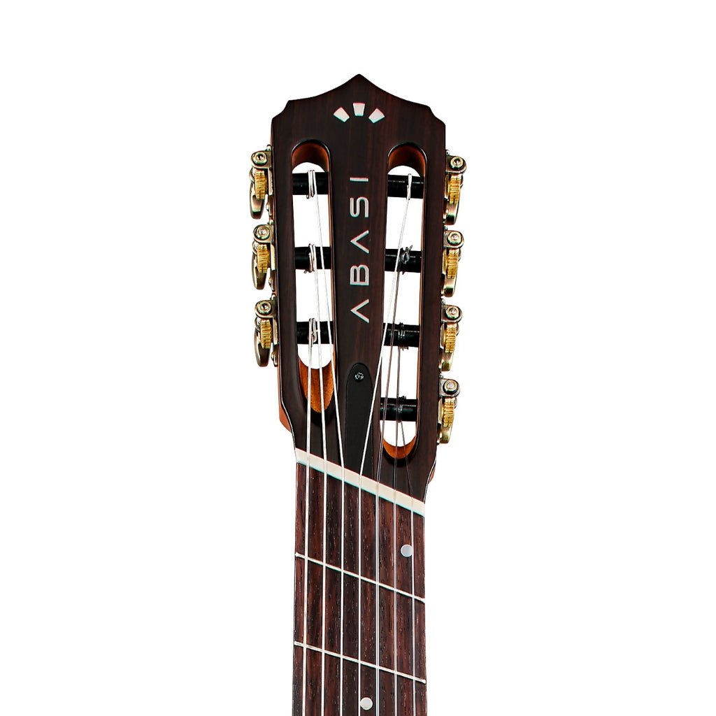 Abasi Stage 7 Nylon-String Acoustic-Electric Guitar - Ziricote Acoustic Guitars Sky Music