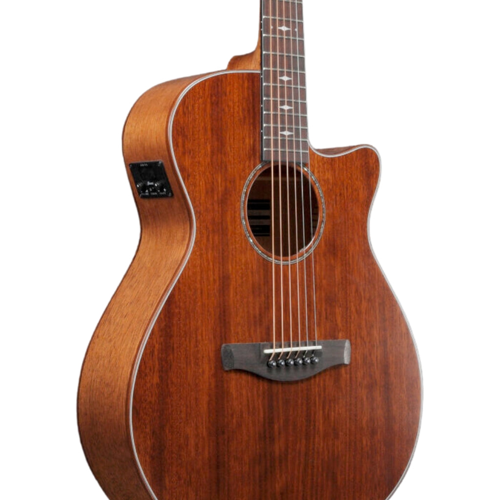 Ibanez - AEG220 AEG Acoustic Guitar - Natural Low Gloss