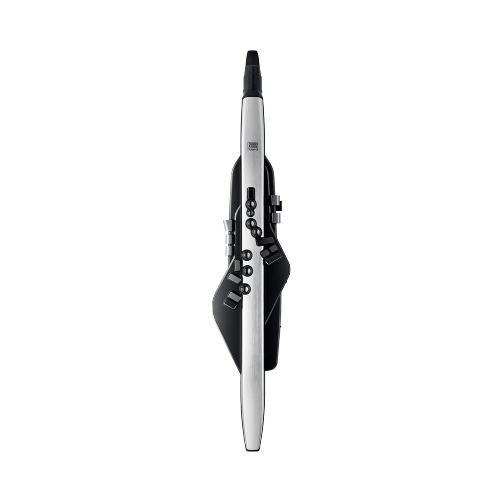 Roland - Aerophone Pro AE-30 Digital Wind Instrument - Silver